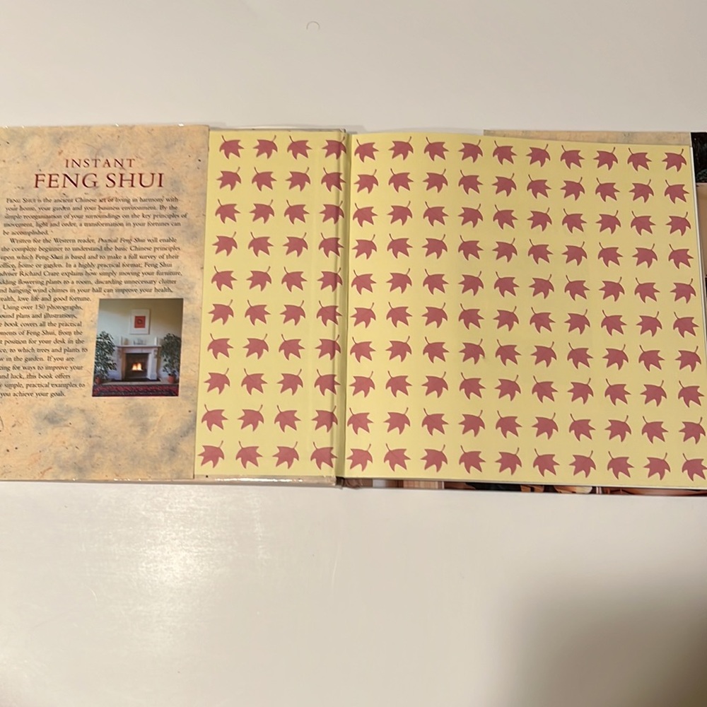 Instant Feng Shui - Picture 3 of 4